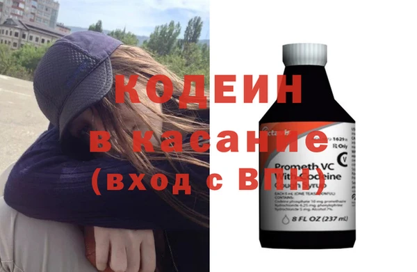 крисы Абаза