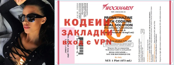 крисы Абаза