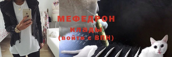 крисы Абаза