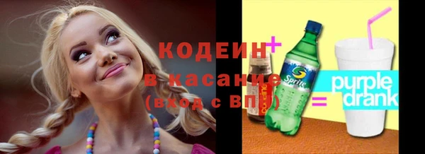 крисы Абаза