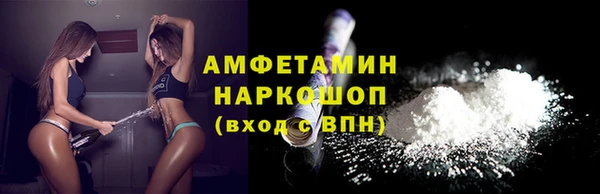 крисы Абаза