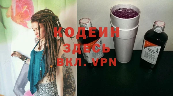 крисы Абаза