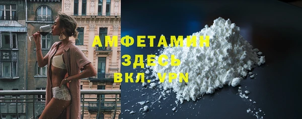 крисы Абаза