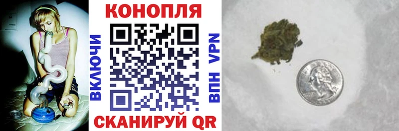 Канабис планчик  блэк спрут вход  Химки  купить наркоту 